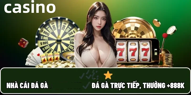 Hình ảnh quảng cáo của vk88 hiển thị nền tảng và các lợi ích